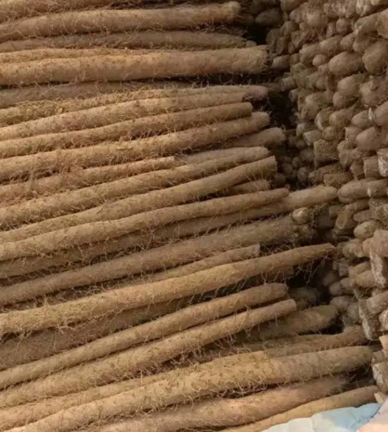 （白玉山药）大量供应，对接全国市场电商超市，货源充足