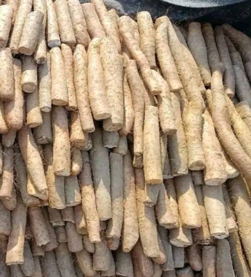 （白玉山药）大量供应，对接全国市场电商超市，货源充足