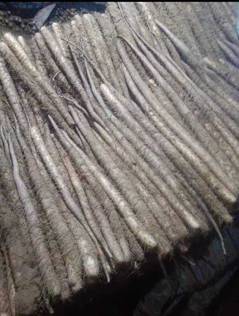 （白玉山药）大量供应，对接全国市场电商超市，货源充足
