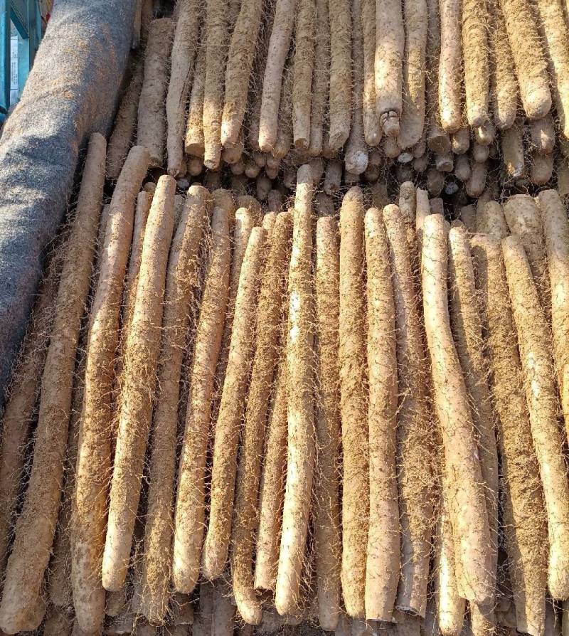 （白玉山药）大量供应，对接全国市场电商超市，货源充足