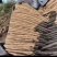 （白玉山药）大量供应，对接全国市场电商超市，货源充足