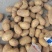 黄心土豆三两起