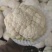 【有机花】陕西花菜规格齐全按照需求分拣打包全国接单