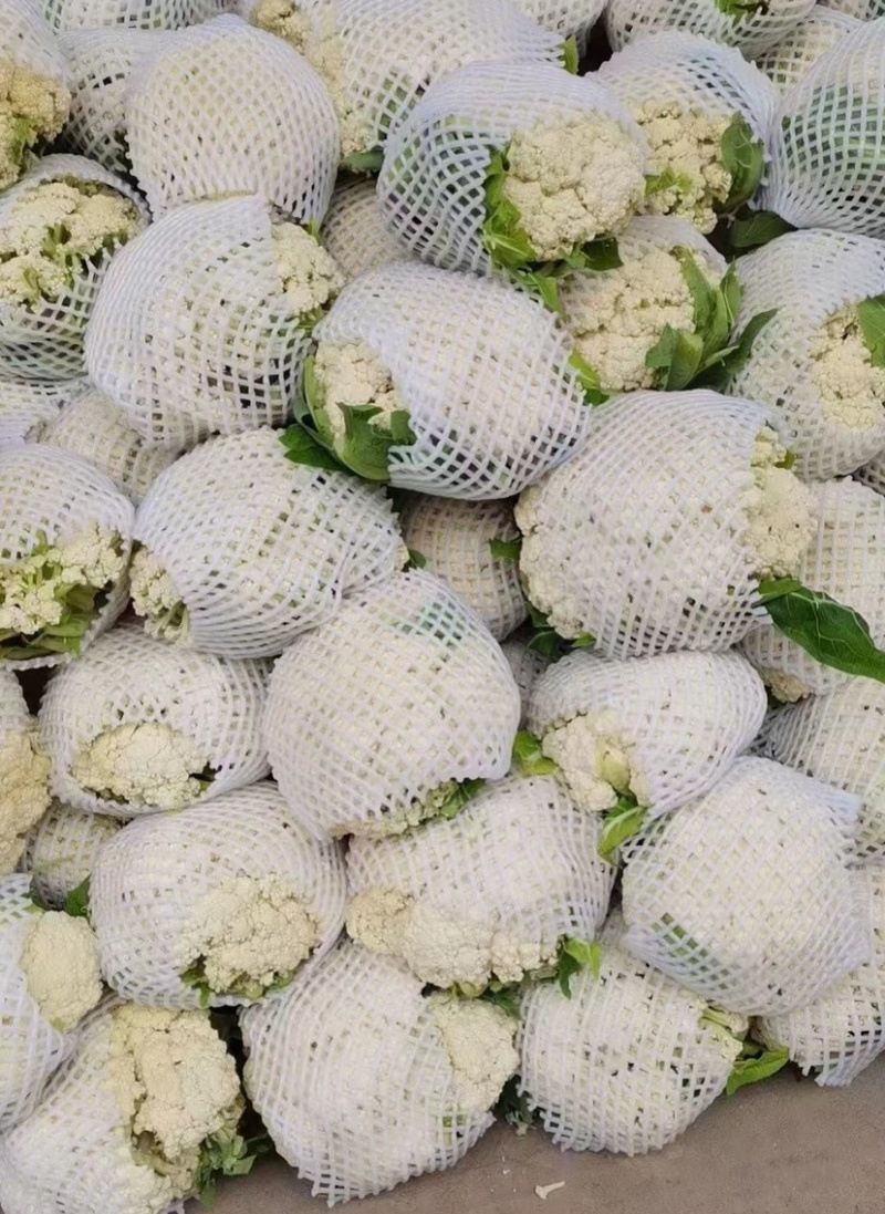 【有机花】陕西花菜规格齐全按照需求分拣打包全国接单
