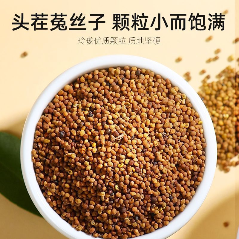 菟丝子