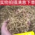 太子参正宗中药材