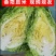 牛心甘蓝牛心头牛心包菜湖北牛心包菜产地发货