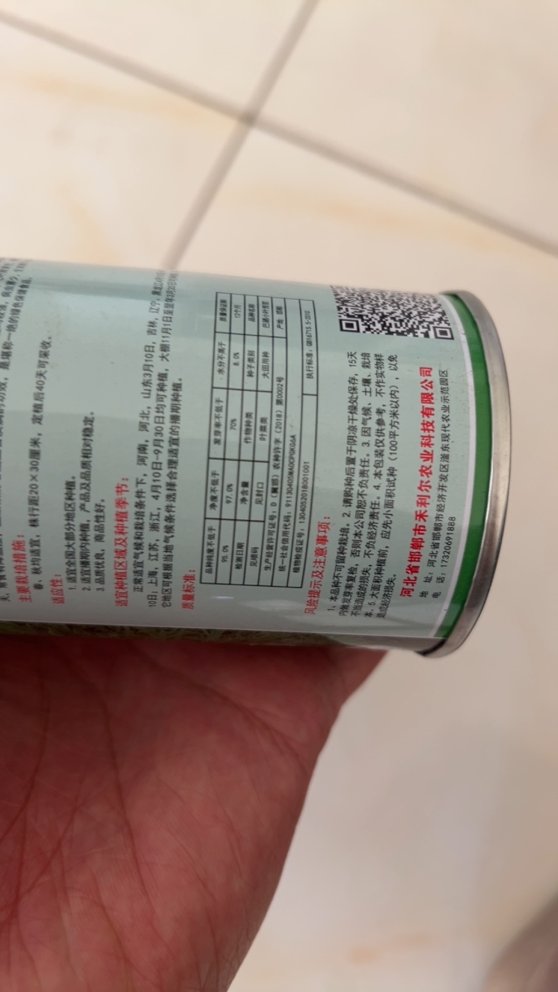 巴硒苦苣种子黄心碎叶小细叶菜籽种苦菜春季菜籽蔬菜种孑