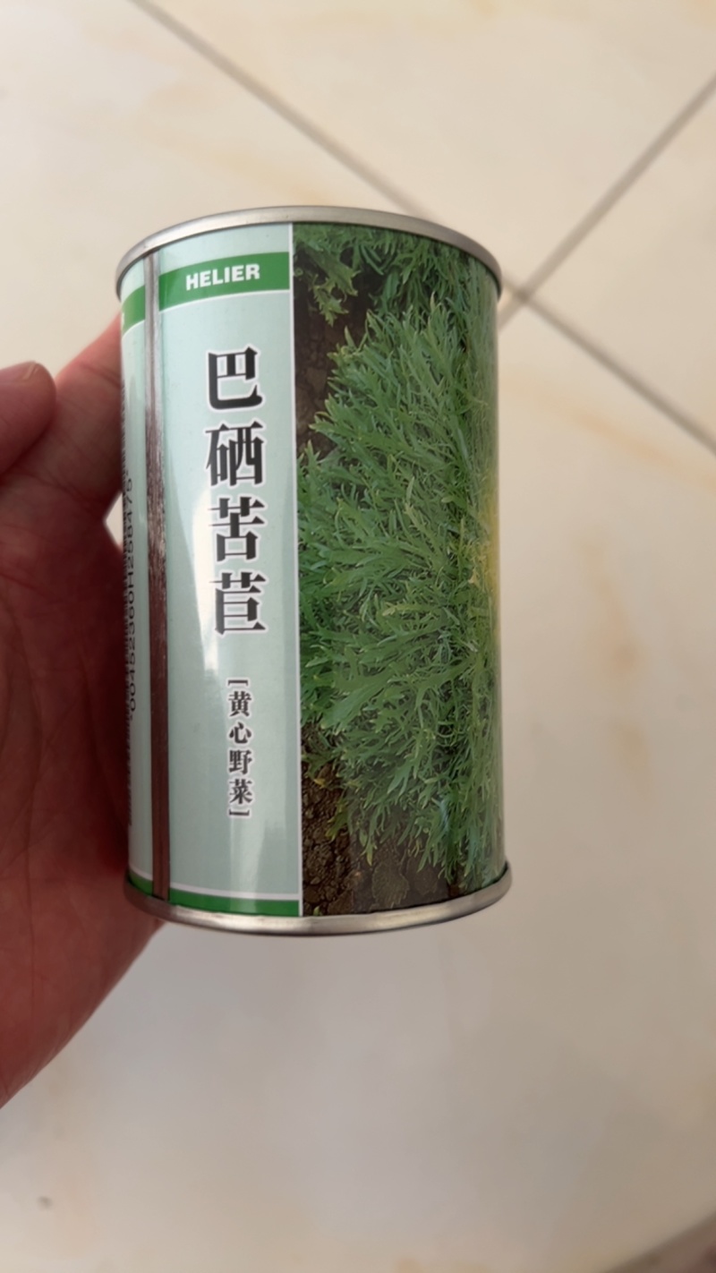巴硒苦苣种子黄心碎叶小细叶菜籽种苦菜春季菜籽蔬菜种孑