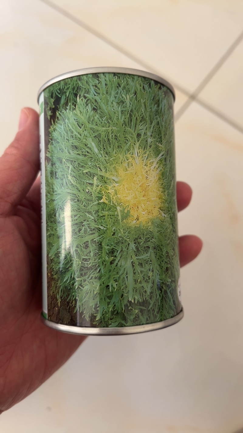 巴硒苦苣种子黄心碎叶小细叶菜籽种苦菜春季菜籽蔬菜种孑