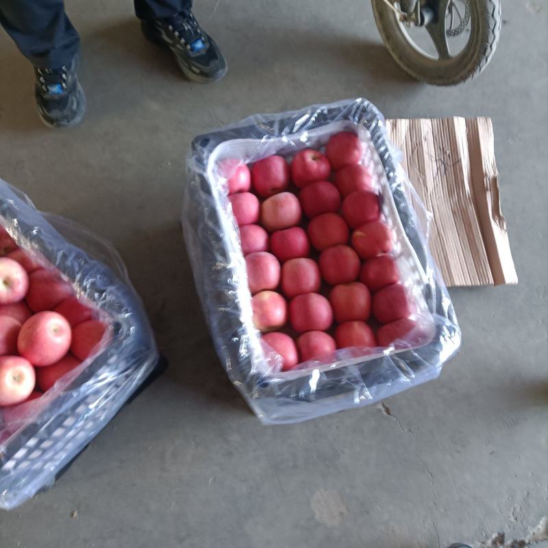 山西精品红富士苹果/产地直发量大从优货源充足