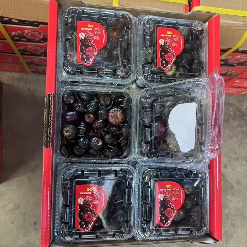 云南红果参