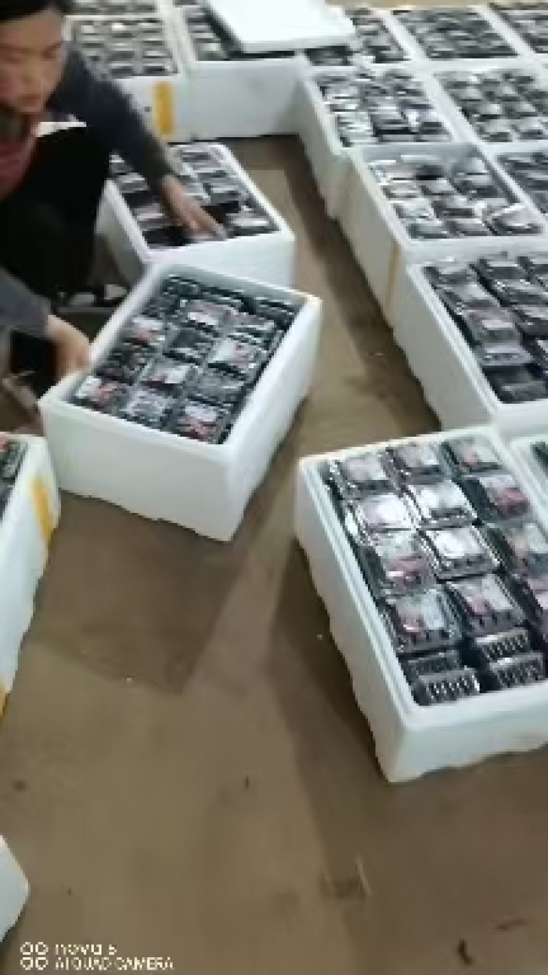 云南红果参