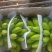 广东省湛江市徐闻县网红苹果蕉香蕉粉蕉