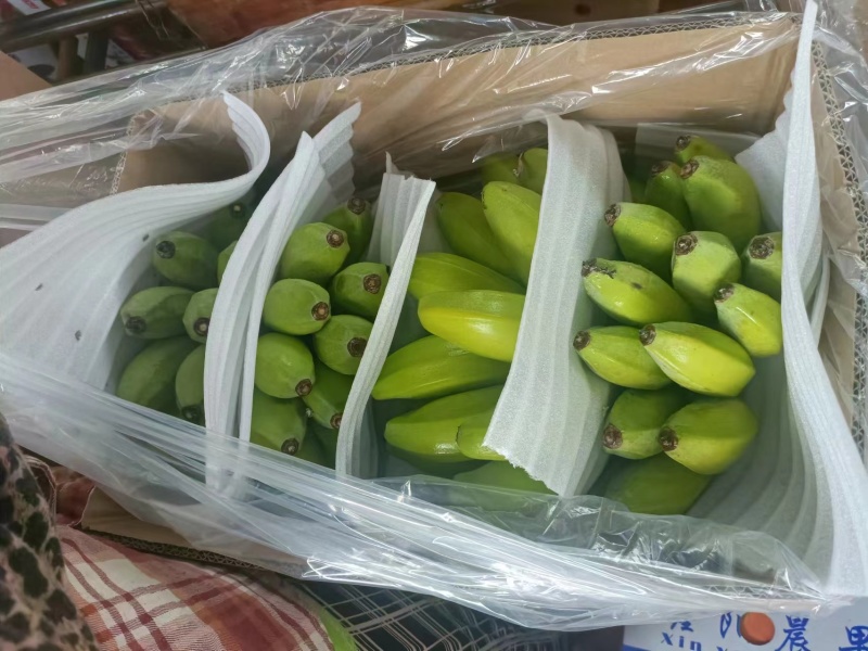 广东省湛江市徐闻县网红苹果蕉香蕉粉蕉