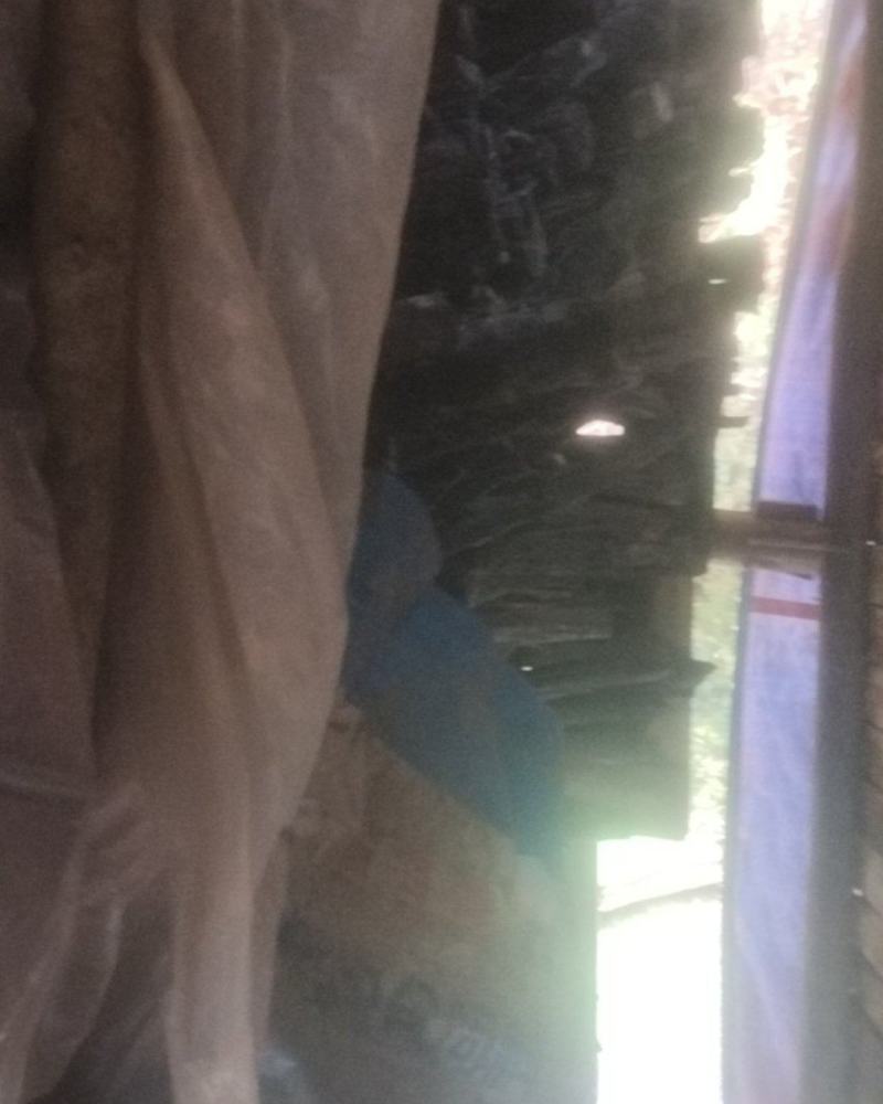 土窑烧木炭批发，青冈炭***********