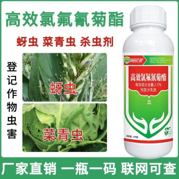 2.5%高效氯氟氰菊酯杀虫剂菜青虫蚜虫专用杀虫药农用