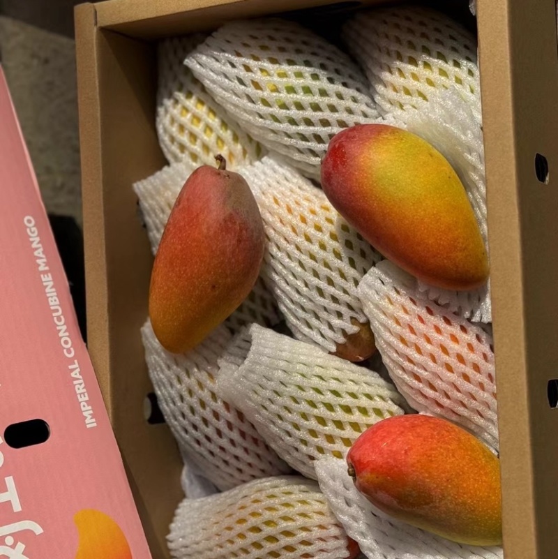 贵妃芒海南贵妃芒基地直发品质保证价格可谈欢迎咨询