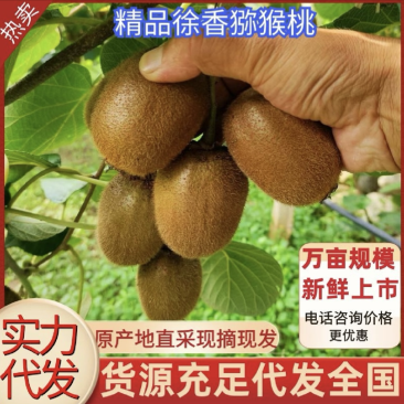 【一件代发】徐香猕猴桃