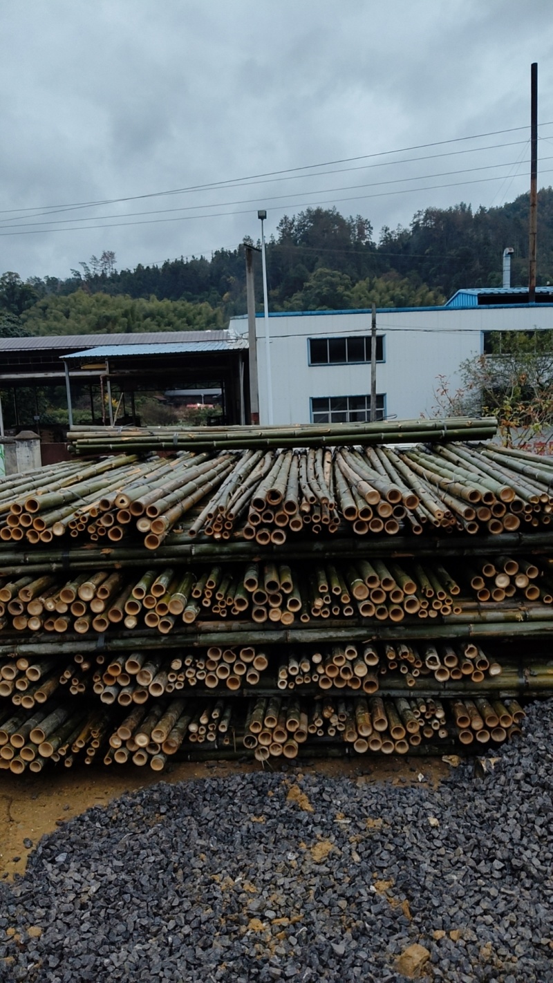 楠竹尾加工厂直发全国发货行业领先质量好价格低