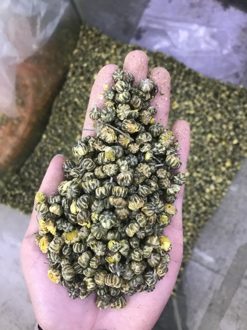 胎菊，质量保证，一手货源，质量保证，价格优惠