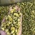 胎菊，质量保证，一手货源，质量保证，价格优惠