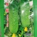 绿天使翠冠506F1水果黄瓜清香爽口翠绿有光泽