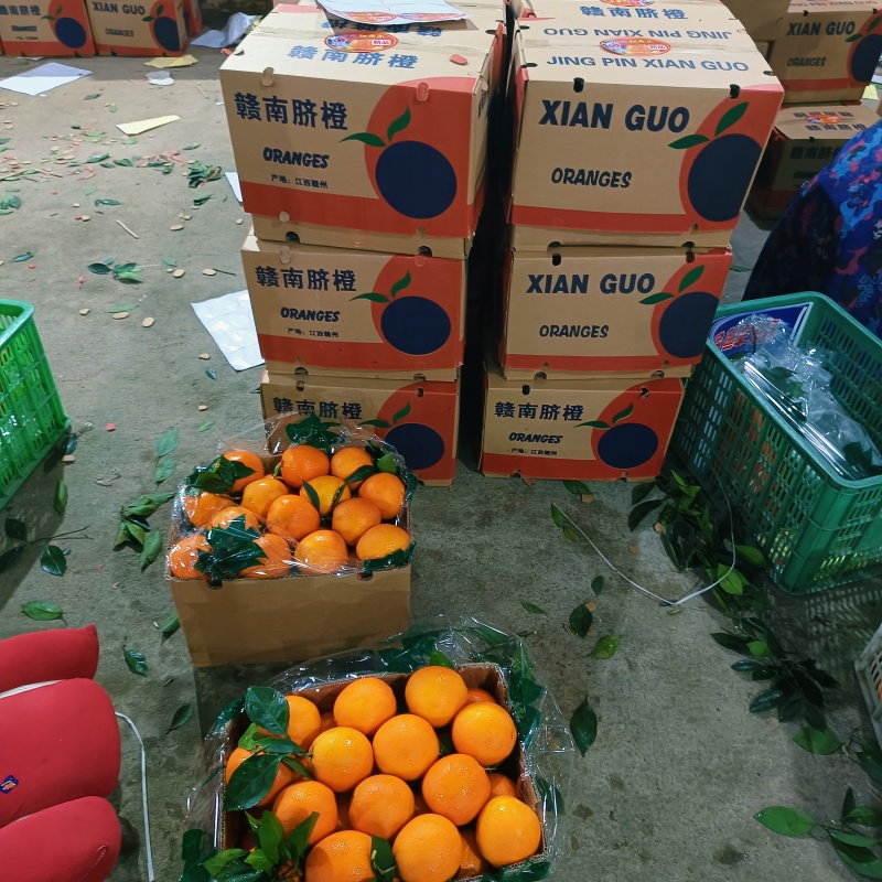 脐橙脐橙湖北橙子现摘现发口感甜水分足量大优惠