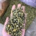 胎菊，大货批发，一手货源，质量保证，量大价优