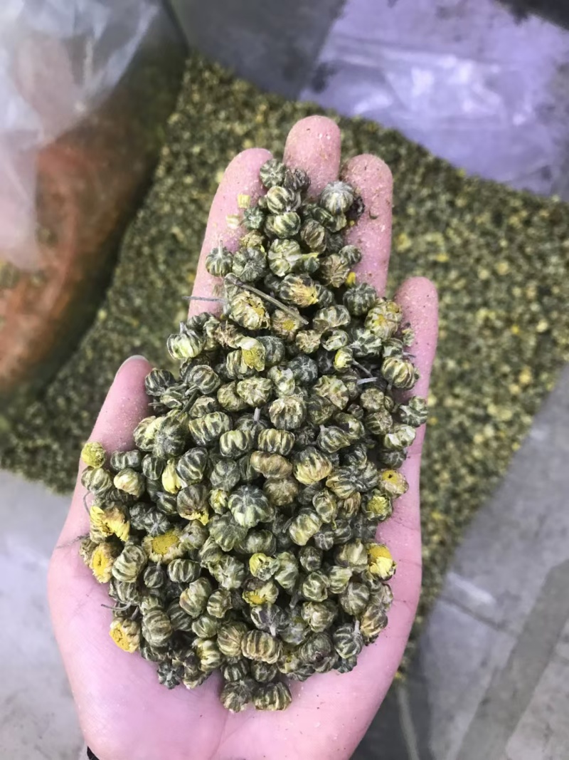 胎菊，大货批发，一手货源，质量保证，量大价优