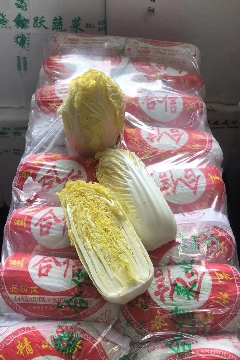 河南娃娃菜大量上市，黄娃，绿娃可按需包装，需要的联系