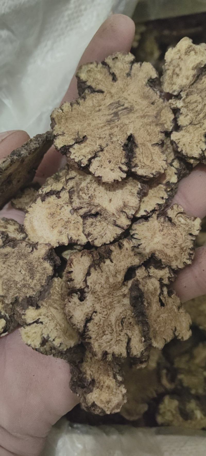 川芎四川产地川穹厚片薄片批发各种中药材量大从优