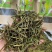 【螃蟹脚】一手货源量大从优500g一袋