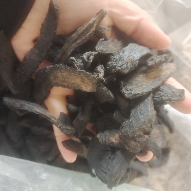 肉苁蓉肉苁蓉个软大芸产地新疆地道药材紫轩堂药业