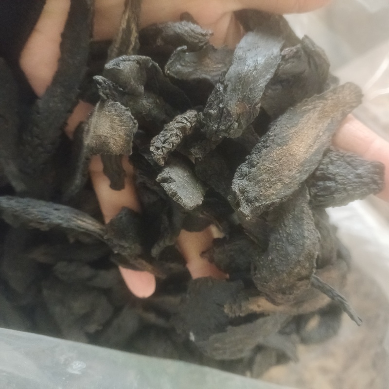 肉苁蓉肉苁蓉个软大芸产地新疆地道药材紫轩堂药业