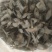 肉苁蓉肉苁蓉个软大芸产地新疆地道药材紫轩堂药业