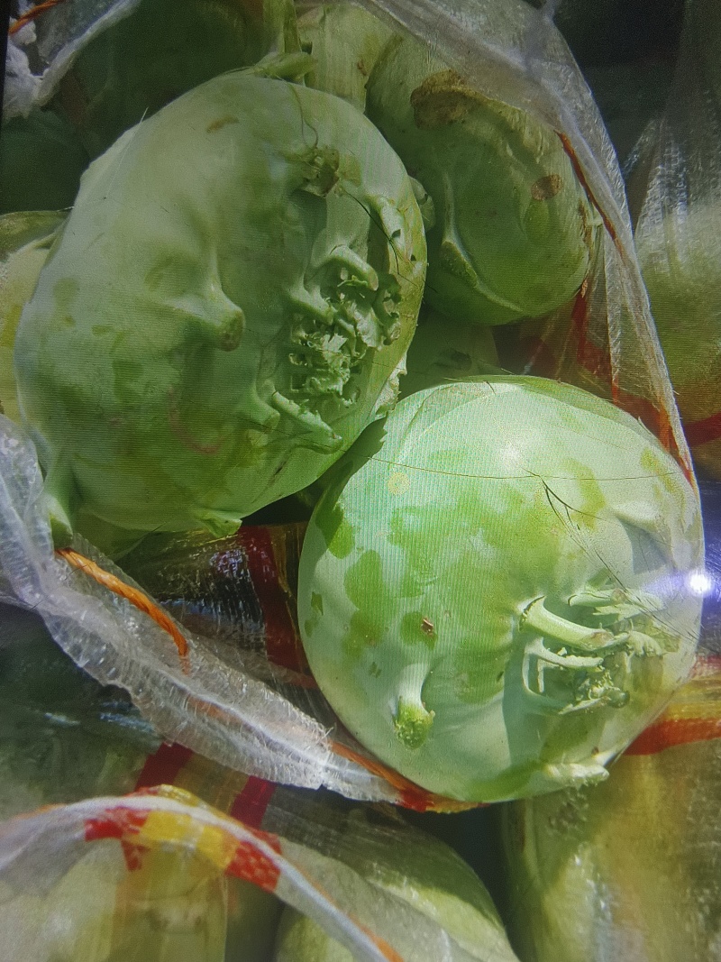 山东苤蓝，产地直发，大量货源！质优价廉，商超，酱菜厂！！