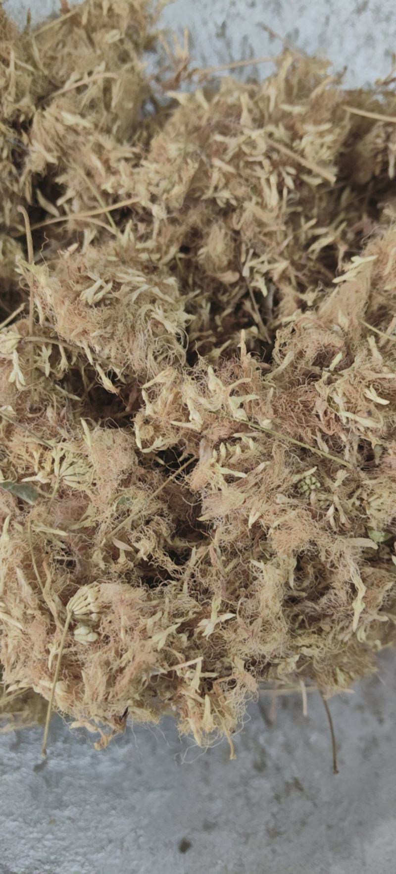 合欢花合欢绒合欢绒批发各种中药材量大从优