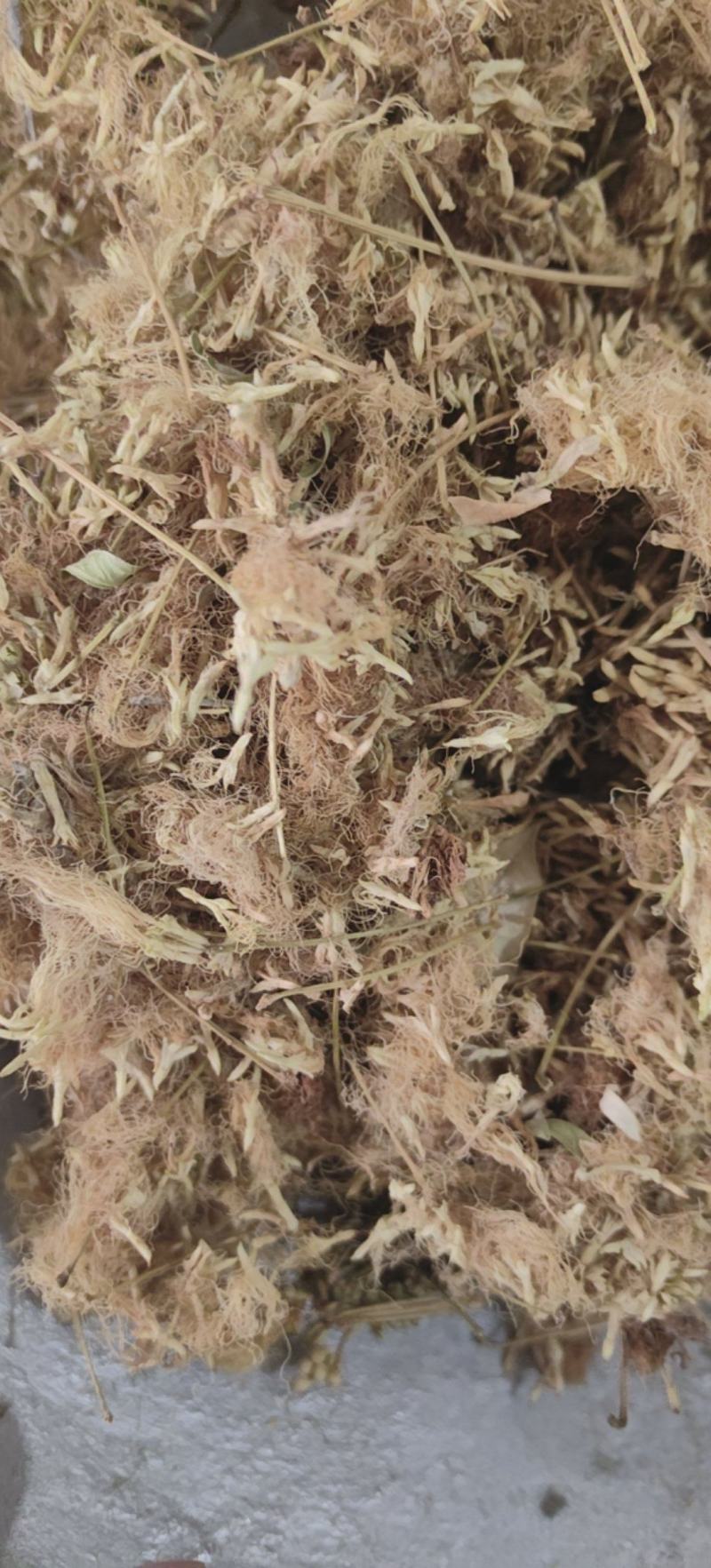 合欢花合欢绒合欢绒批发各种中药材量大从优
