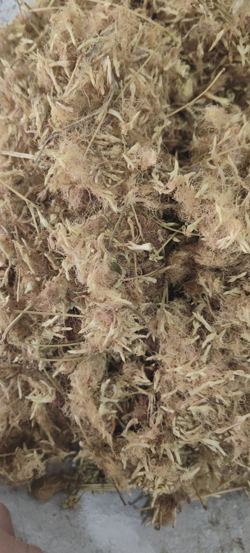 合欢花合欢绒合欢绒批发各种中药材量大从优
