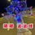 波波球大量批发全国各地