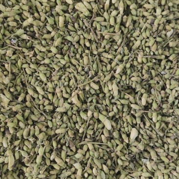 槐米槐花米颜色青绿量大从优杂质少批发各种中药材