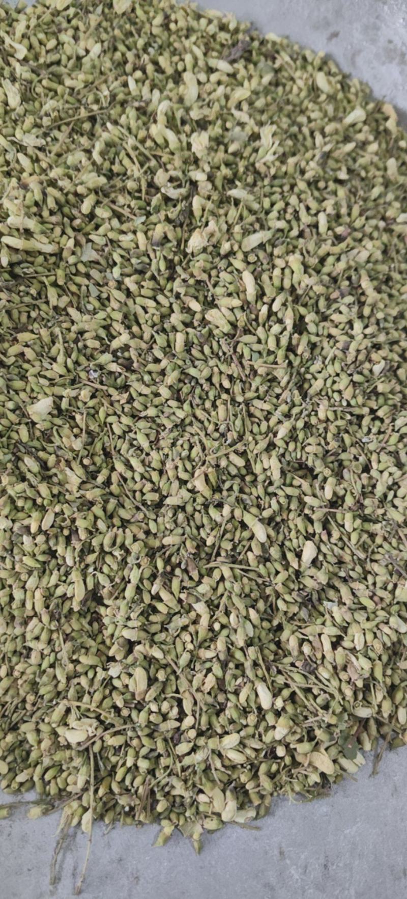 槐米槐花米颜色青绿量大从优杂质少批发各种中药材