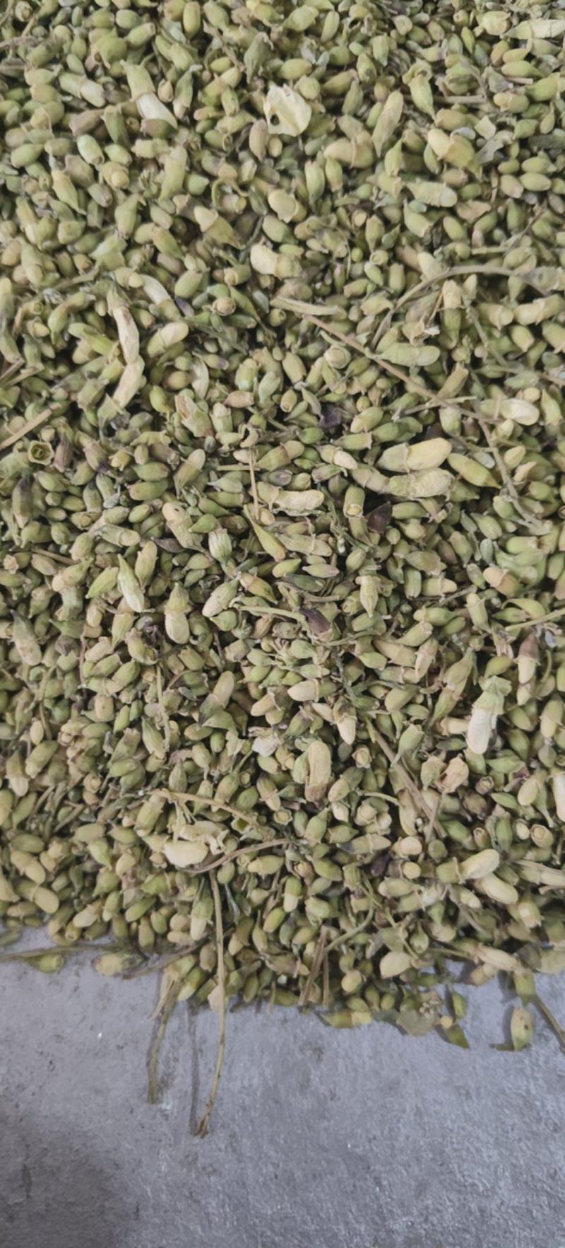 槐米槐花米颜色青绿量大从优杂质少批发各种中药材