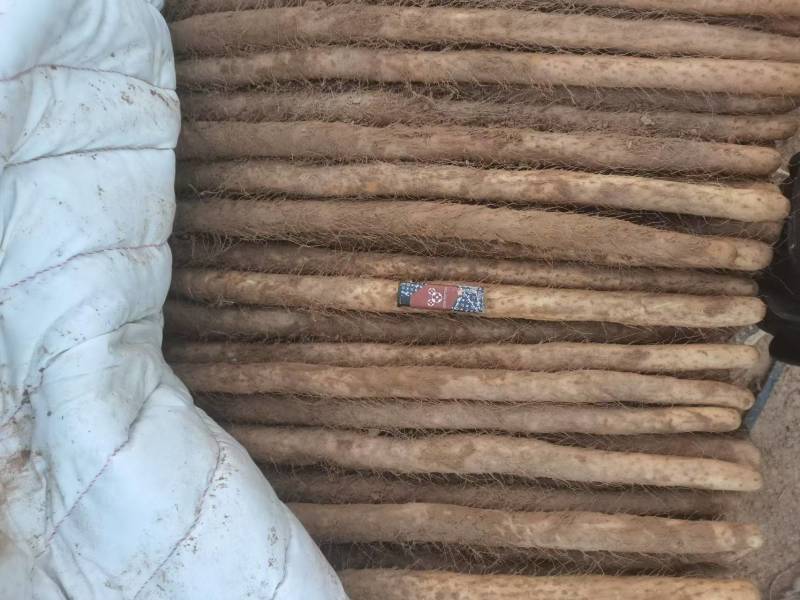 铁棍山药品质保证货源充全国发货诚信经营欢迎电联