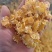 厂家销售蒸汽压片玉米高温蒸汽适用于畜牧禽类养殖