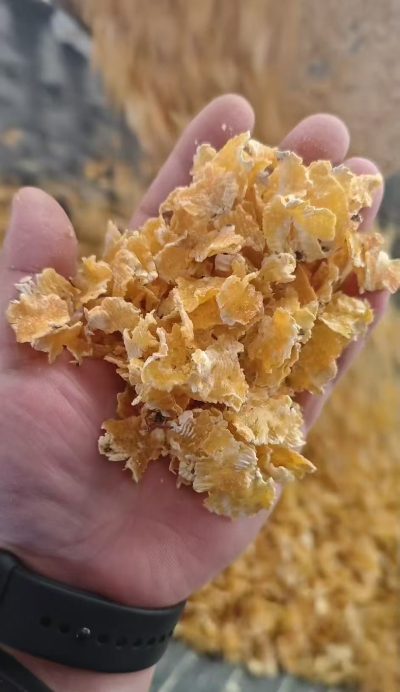 厂家销售蒸汽压片玉米高温蒸汽适用于畜牧禽类养殖