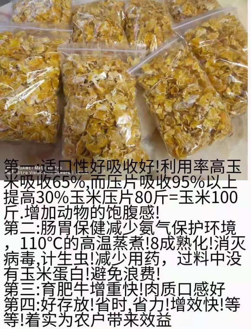 厂家销售蒸汽压片玉米高温蒸汽适用于畜牧禽类养殖