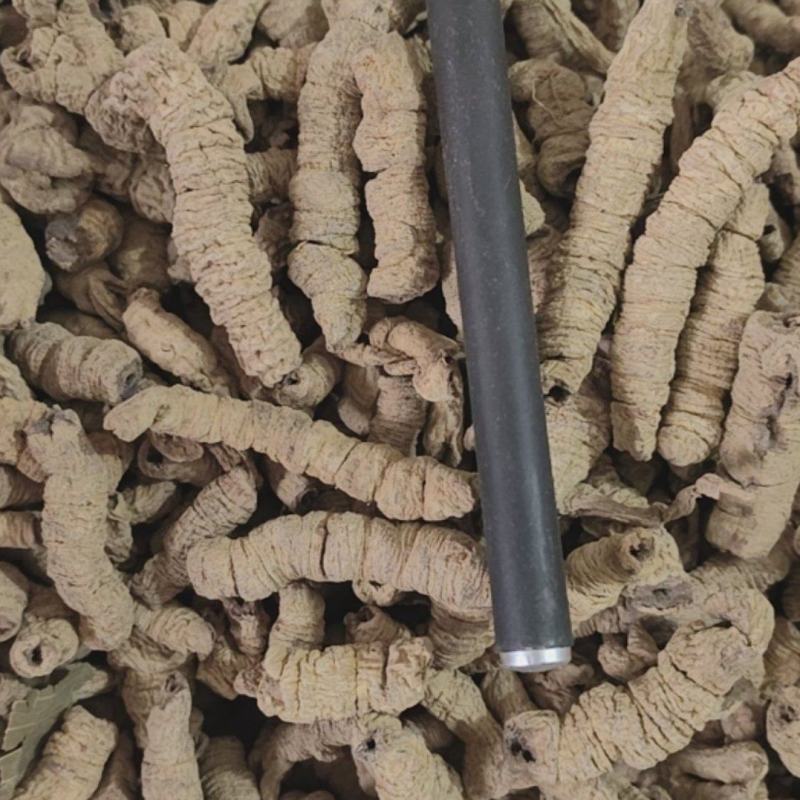 巴戟天巴戟肉优质无硫全抽巴戟肉产地直销一手货源中药材