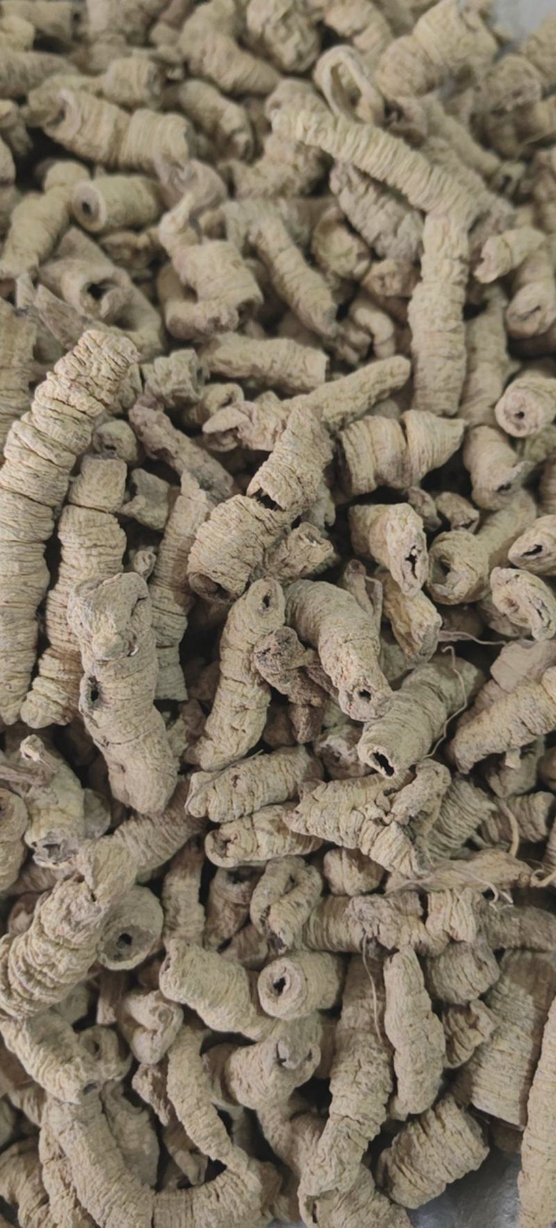 巴戟天巴戟肉优质无硫全抽巴戟肉产地直销一手货源中药材